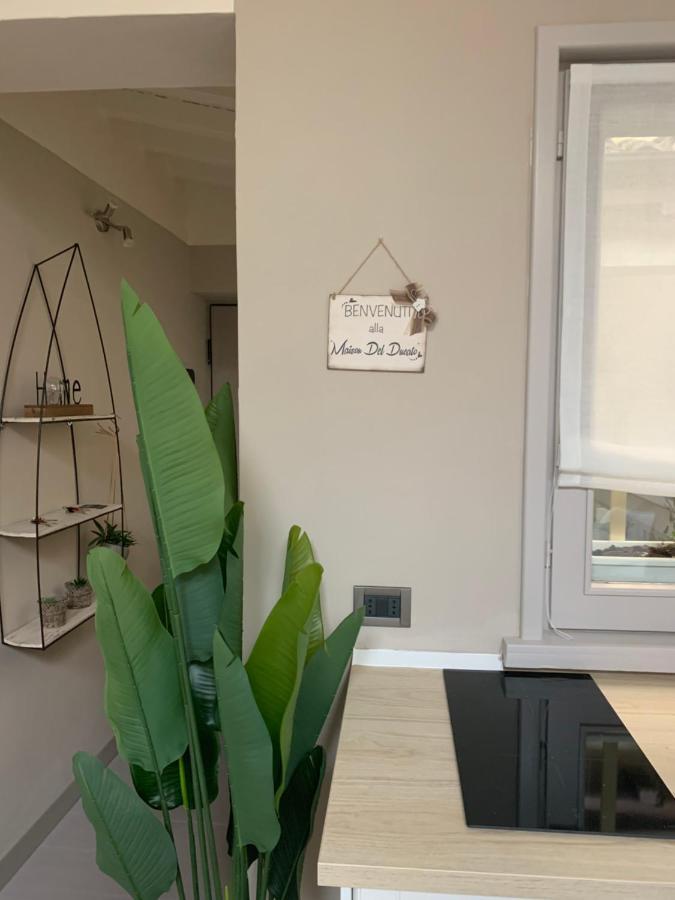Maison Del Ducato “Cavour 24” Parma Eksteriør billede
